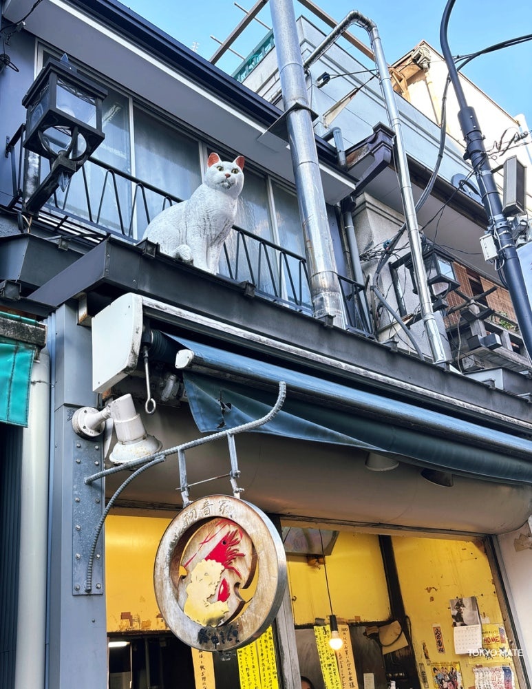 Yanaka Ginza rooftop cat sculptures