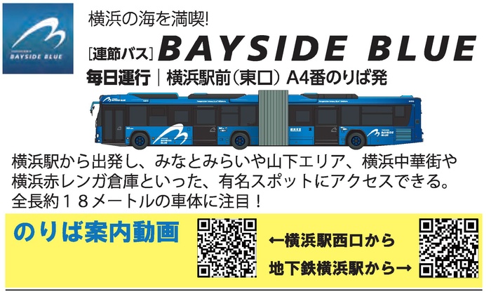 Bayside Blue Bus Information and Coverage