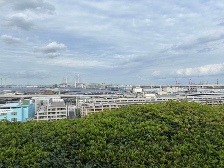 Sea View from Minato no Mieruoka Park
