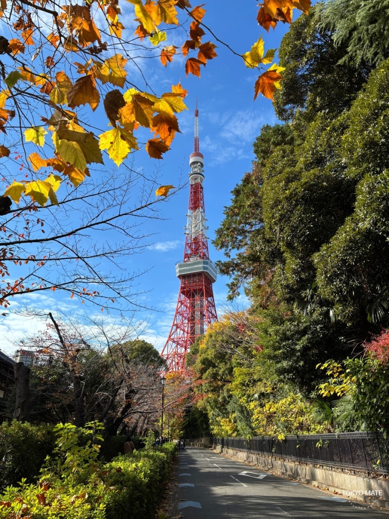 Tokyo Zojoji alley with Tokyo Tower view